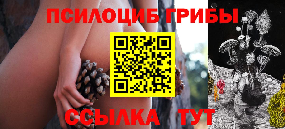 где продают наркотики  Вход с VPN  Ливны  Псилоцибиновые грибы прущие грибы 