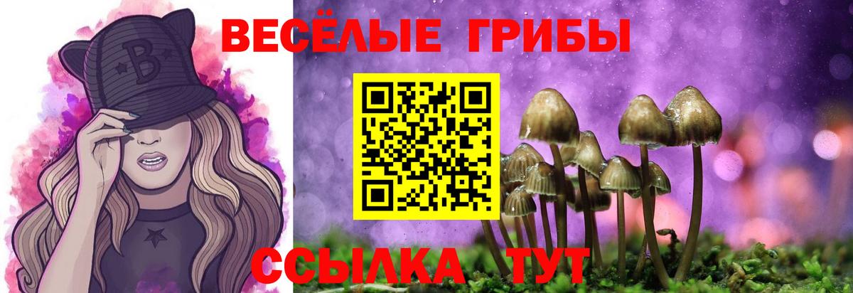 A PVP Ливны